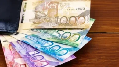 économie kenyane :shilling la monnaie du Kenya