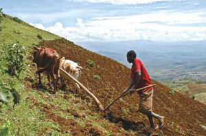 Agriculture