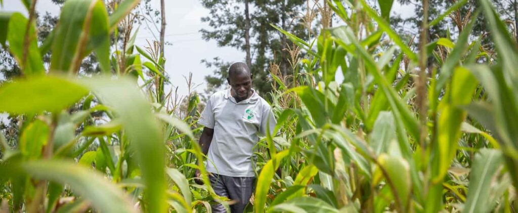 Une production agricole
