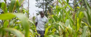 Une production agricole