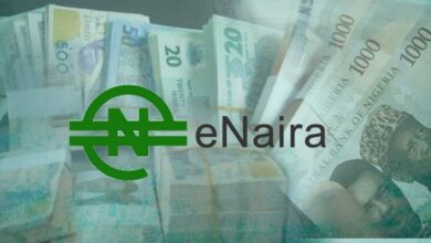 eNAIRA-Wallet : Les Nigérians accèdent à eNaira via USSD – CBN