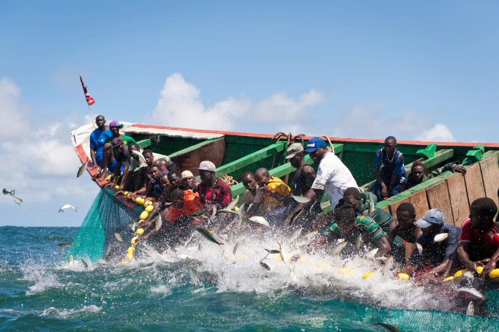 Pêche au Sénégal