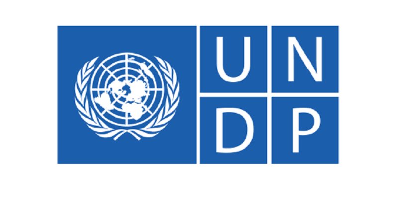 Logo PNUD