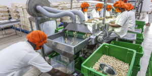 Agro-industrie au Bénin