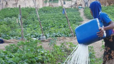Irrigation agricole à petite échelle en Afrique