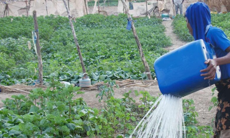 Irrigation agricole à petite échelle en Afrique