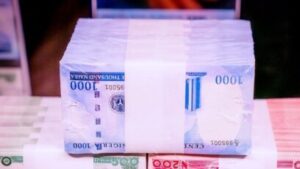 Les nouveaux billets de Naira