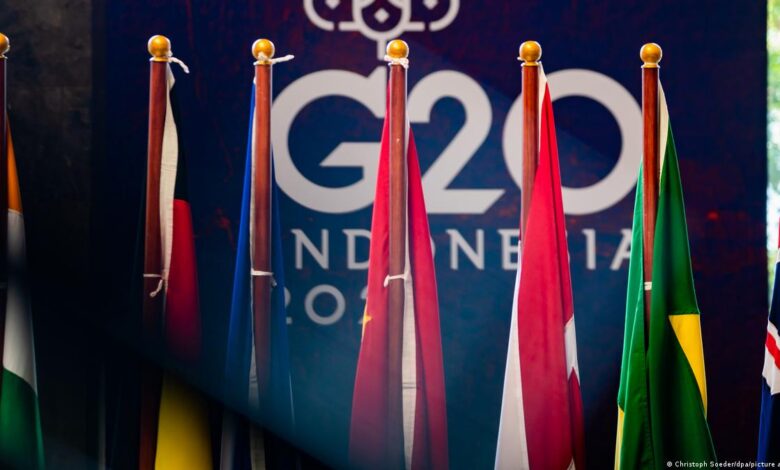 Drapeaux G20