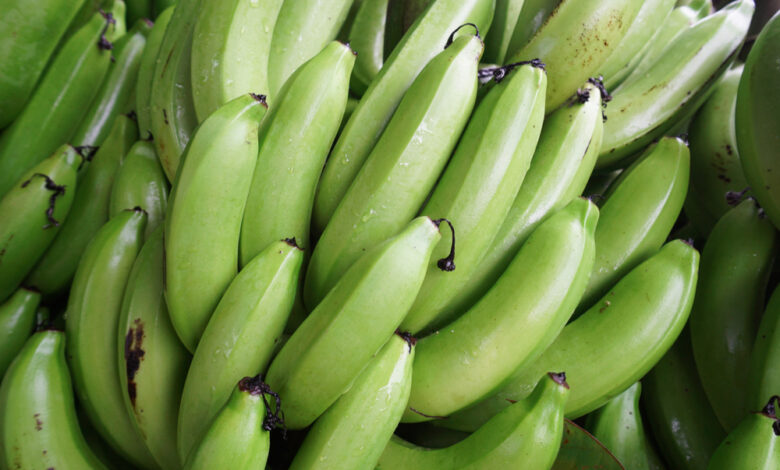 banane plantain