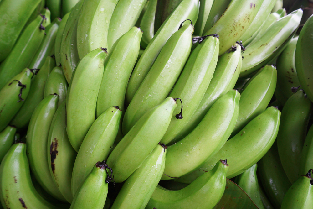 banane plantain