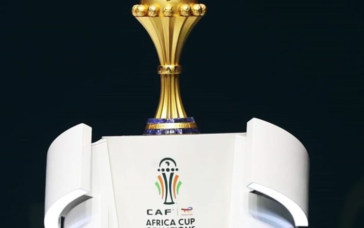 Coupe d'Afrique des nations (CAN 2023)