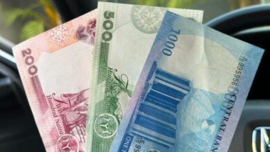Naira, la monnaie nigériane