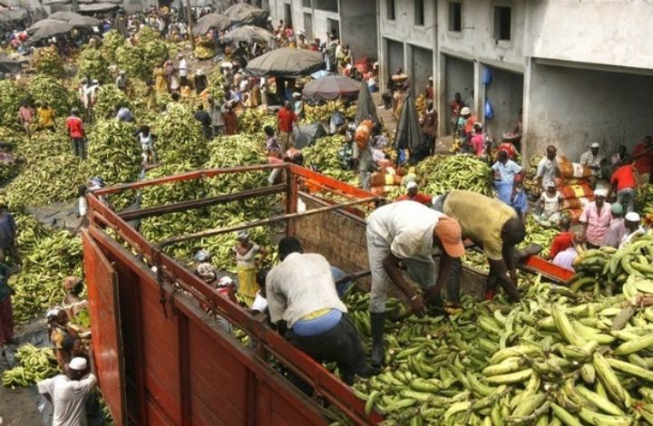 Produits vivriers: déchargement de bananes
