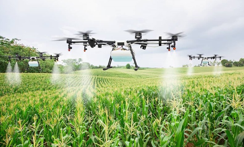 Innovation agroalimentaire en Afrique