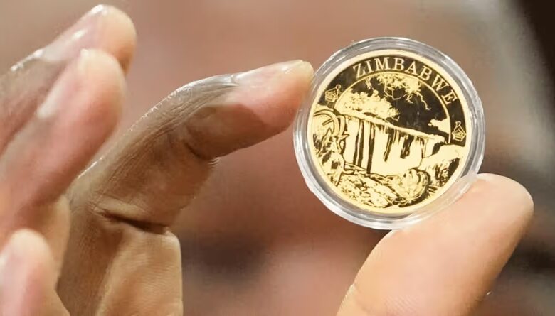 Le Zimbabwe Gold (ZiG), nouvelle monnaie du Zimbabwe