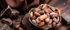 cacao et chocolat