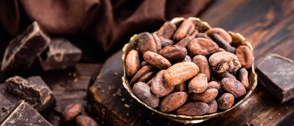 cacao et chocolat