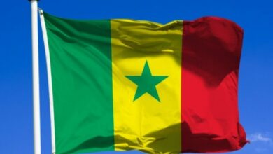 Drapeau sénégalais