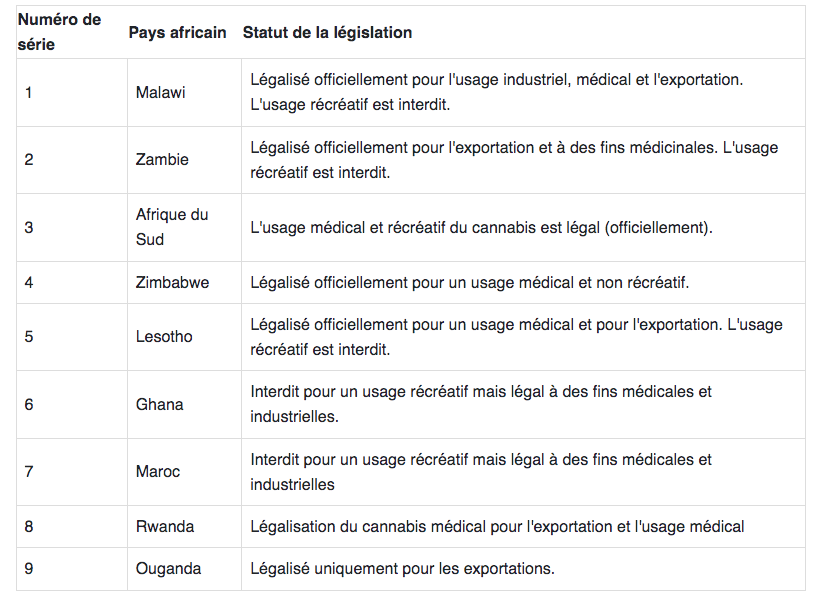 9 pays africains qui ont légalisé la culture du cannabis à des fins industrielles et médicinales