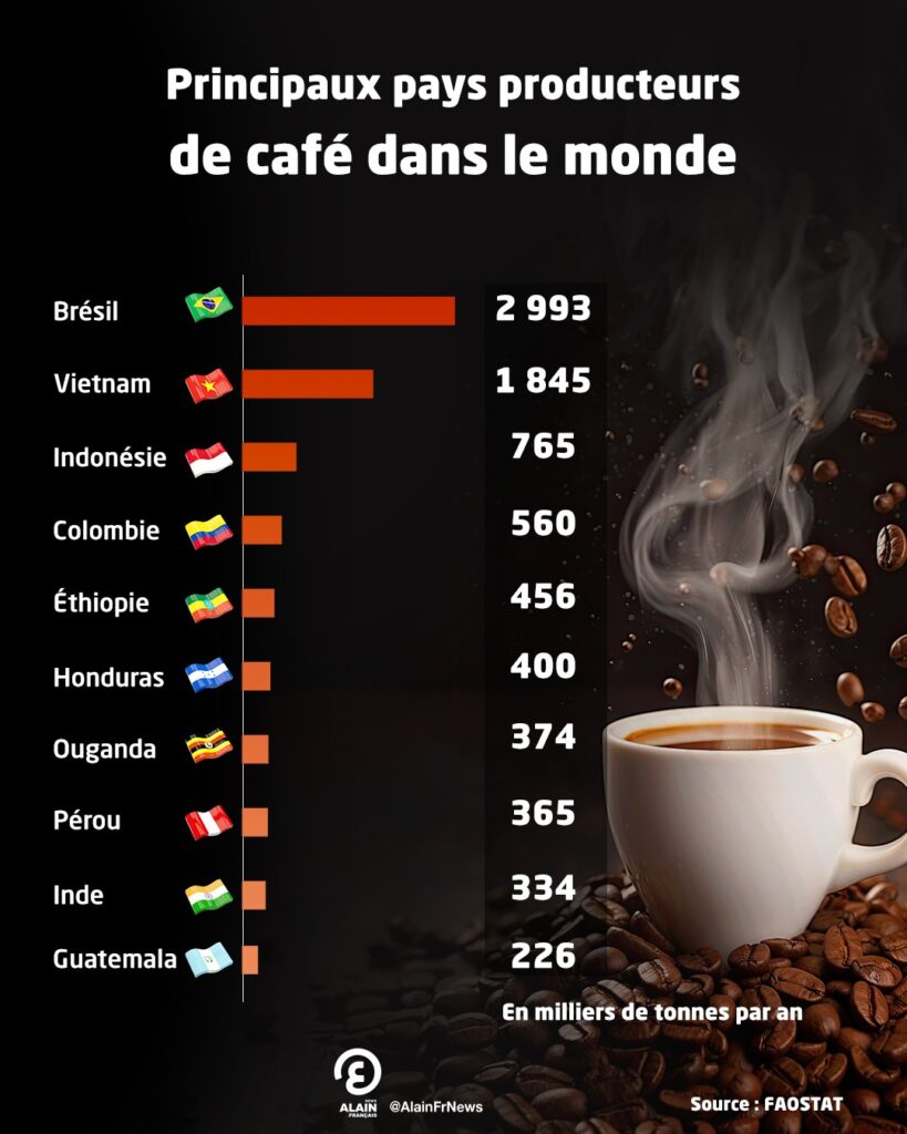 Les principaux pays producteurs de café dans le monde