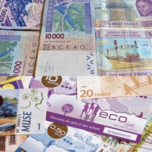 Franc CFA vs Monnaie ECO