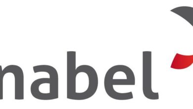 Logo Enabel