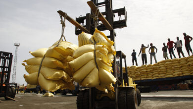 Importateur de riz en Afrique