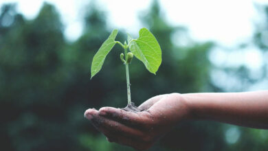 Climat en Afrique