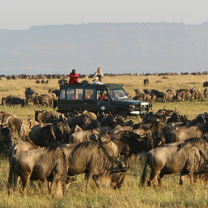 Réserve nationale de Masai Mara